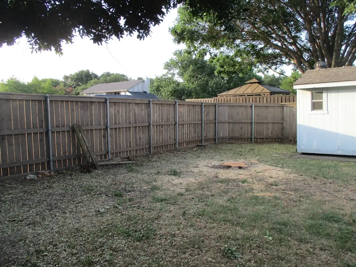 Cleared yard after professional tree removal in Montrose